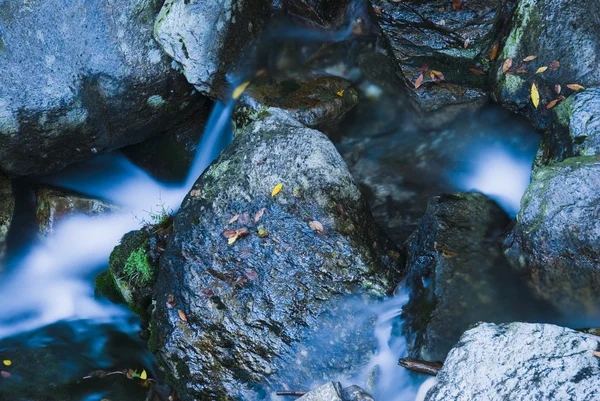 Im blauen Fluss — Stockfoto