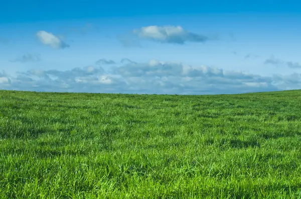 Våren landskap — Stockfoto