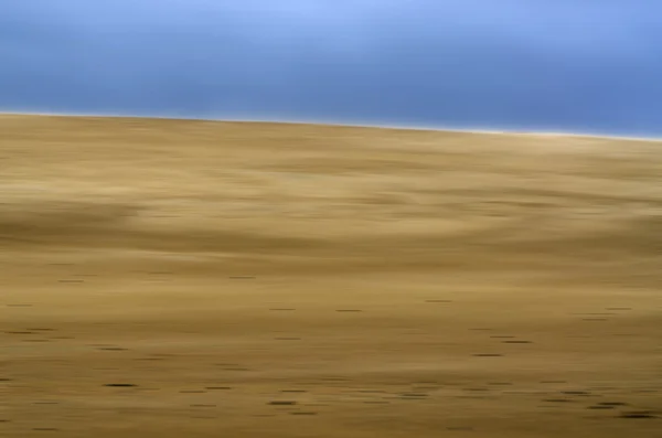 Vento na areia — Fotografia de Stock