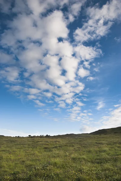 Paisaje verano — Foto de Stock