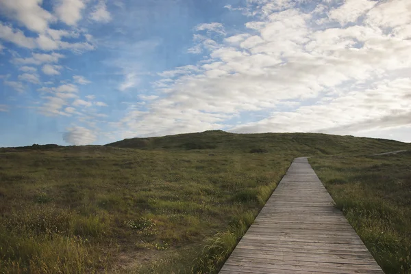 Sommarlandskap — Stockfoto