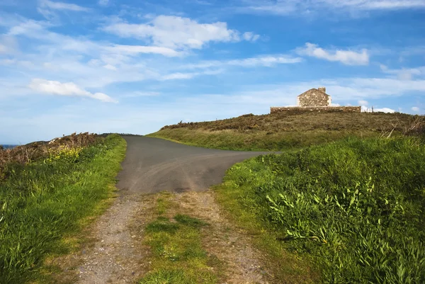 Sommarlandskap — Stockfoto