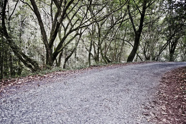 Landelijke weg — Stockfoto