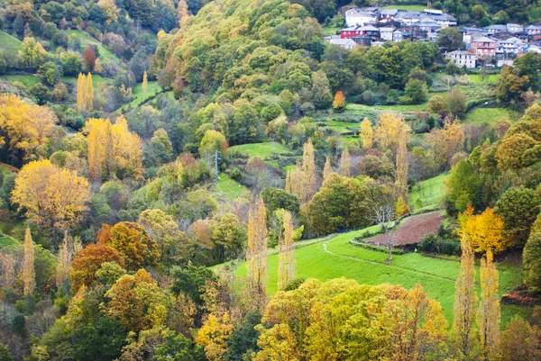 Herbstfarben — Stockfoto