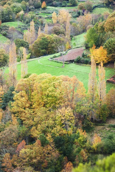 Herfst kleuren — Stockfoto