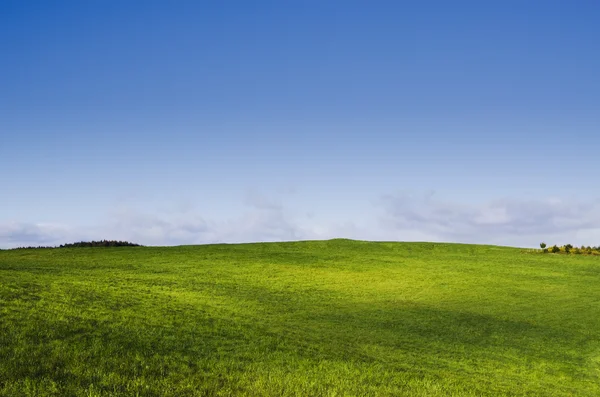 Våren landskap — Stockfoto