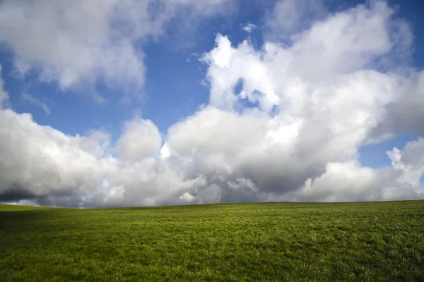 Våren landskap — Stockfoto