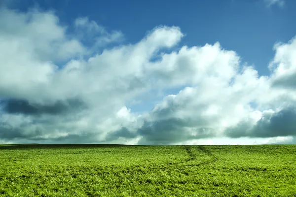 Paesaggio di primavera — Foto Stock