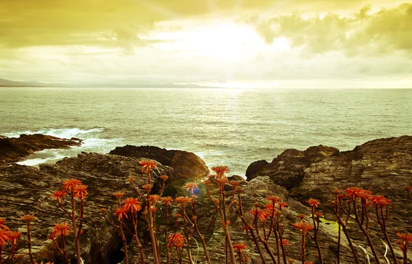 Cantabria sahil — Stok fotoğraf