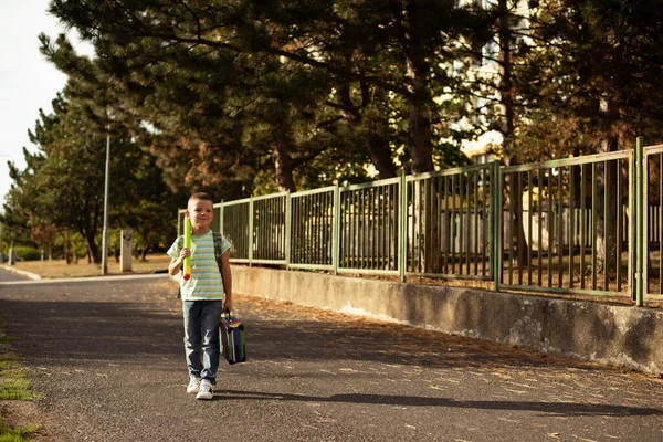 A cute child boy walks along the school with a backpack, a colorful suitcase and a large pencil