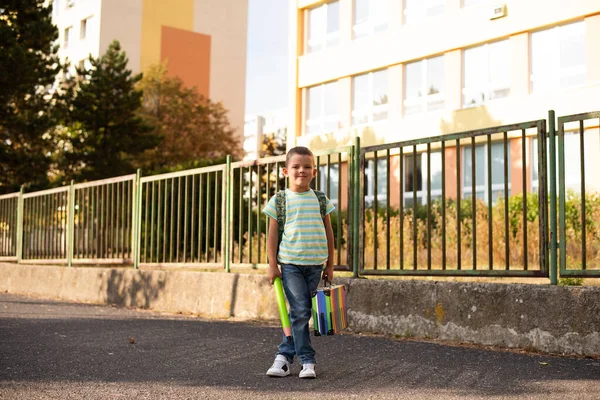 A cute child boy walks along the school with a backpack, a colorful suitcase and a large pencil