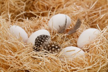 Beyaz yumurta saman üzerinde yalan