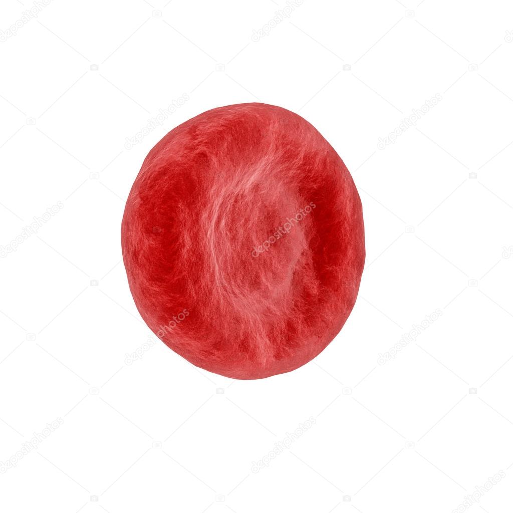 Red Blood Cell isolated on white