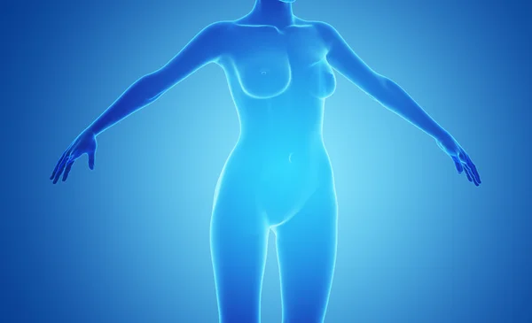 女性的 x 射线的身体 — 图库照片