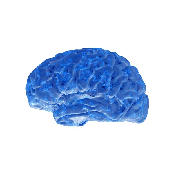 Cervello umano — Foto Stock