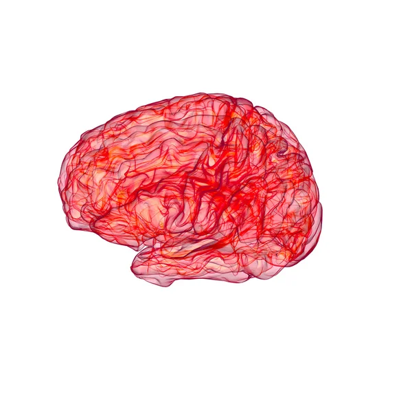 Radiografia rossa del cervello umano — Foto Stock