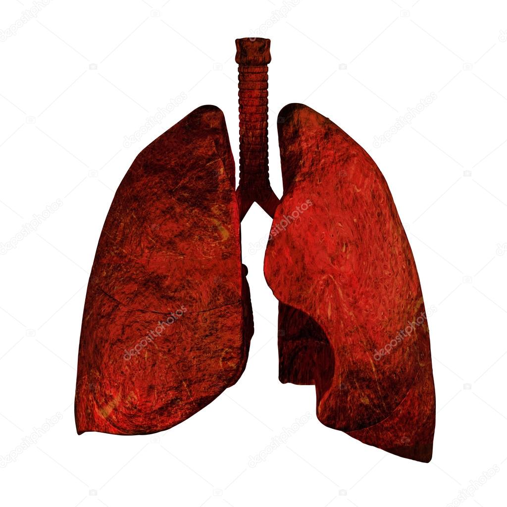 Lungs od Smokers