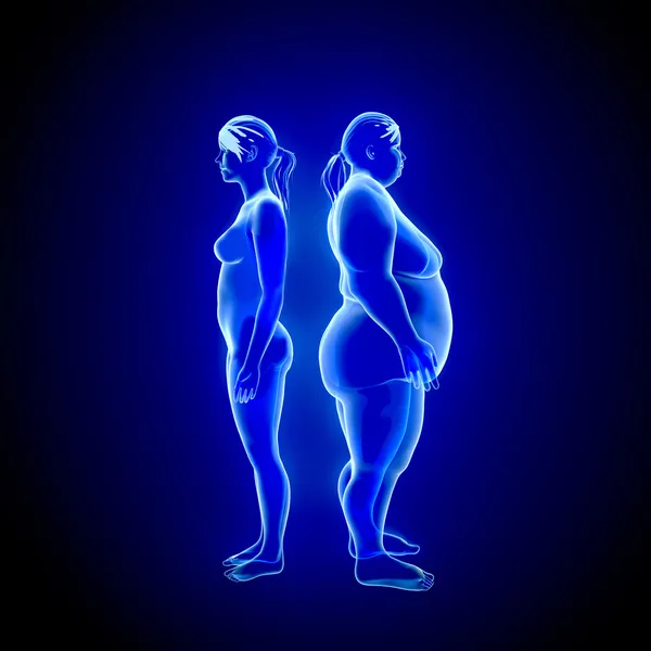 Kobieta tłuszczu i cienkie — Zdjęcie stockowe