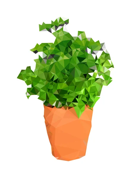 Polygonal Basil plants in a pot Illustration — Stock Vector