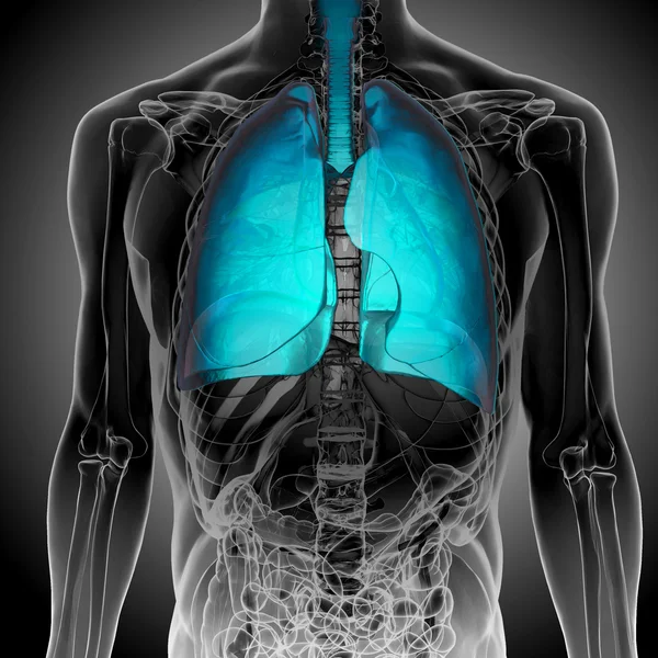 X-Ray of blue human Lungs — Stock Photo, Image