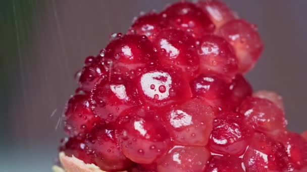 Slow motion of water drops falling on grains of fresh ripe pomegranate — Stock Video