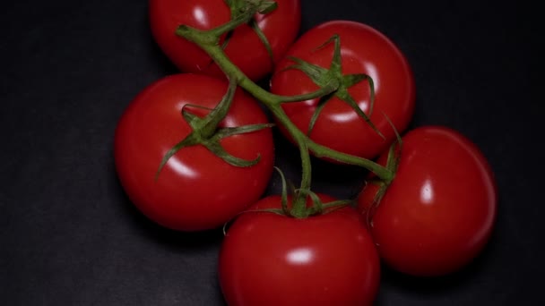 Top view of a branch of tomatoes rotating on a black background — Stock Video
