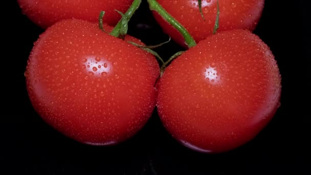 Vista dall'alto di gocce d'acqua su pomodori freschi maturi su uno sfondo nero. — Video Stock