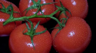 Siyah arka planda yeşil yapraklı taze kırmızı domatesler..