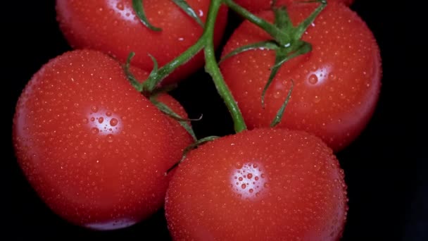 Bovenaanzicht macro van verse rode natte tomaten — Stockvideo