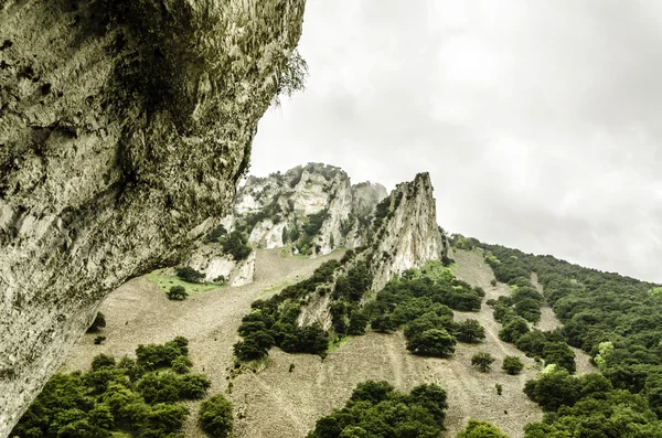 Rock cliff — Stock Photo, Image