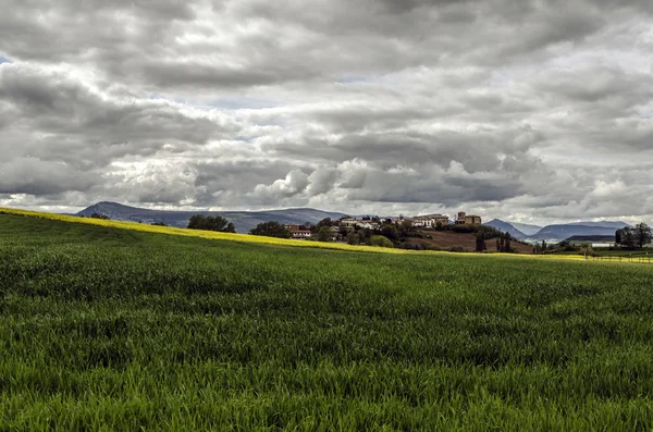 Campos verdes — Fotografia de Stock