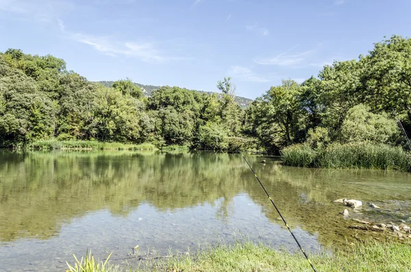 Pesca — Foto de Stock