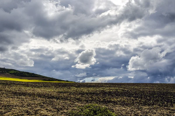 Pflugfeld — Stockfoto