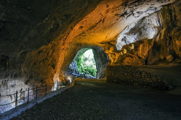 Caverna na floresta — Fotografia de Stock