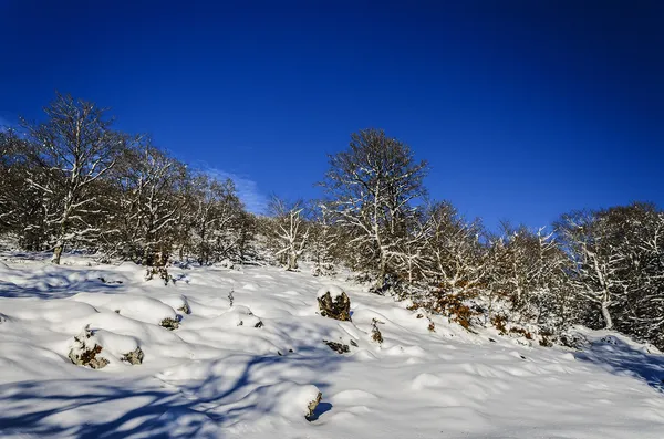 冬天的天堂 — 图库照片