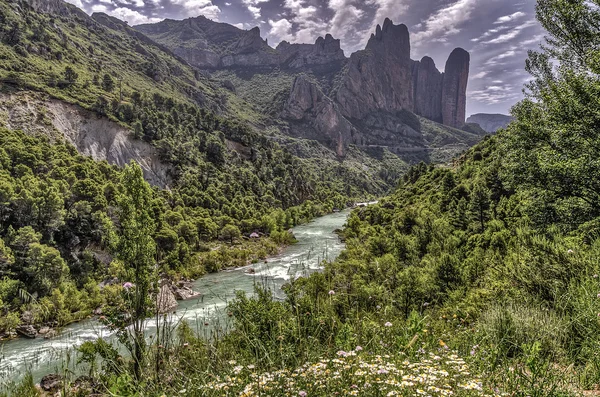 River flowing through the valley — Stock Photo, Image