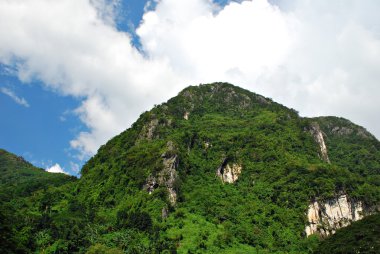 kireçtaşı dağ cliff ağaçları ile büyümüş