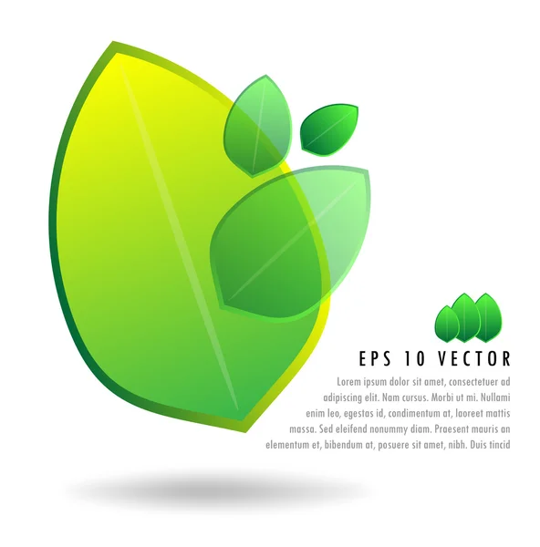 3D Green Leaf Illustration Set Background Concept — Stock Vector