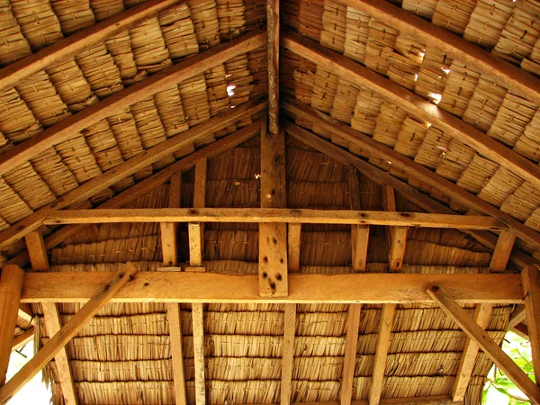 Thatch tropikal kulübe yazlık iç