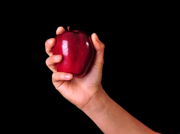 Красное яблоко на выставке — стоковое фото