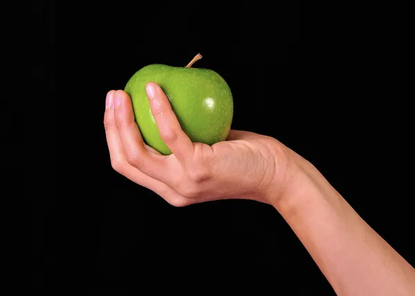 Зеленое яблоко на выставке — стоковое фото