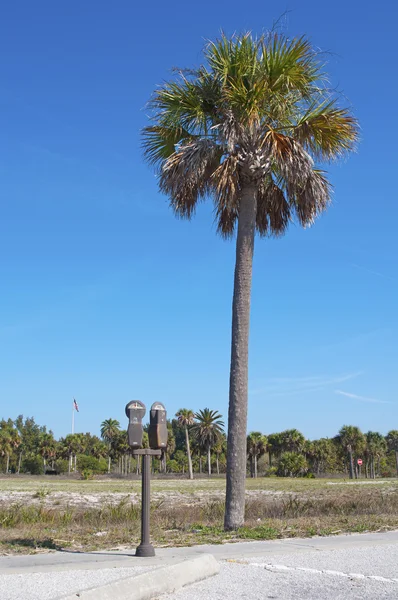 Parking meter next to a palm tree — Stock Photo, Image