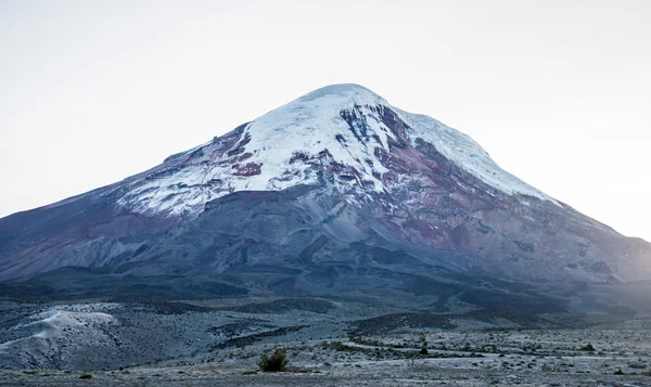 Chimborazo vulkan ved daggry - Stock-foto