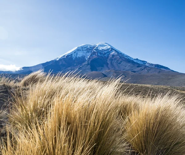 Chimborazo vulkaan — Stockfoto