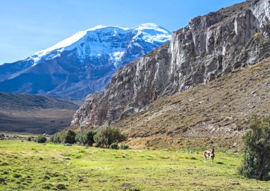 chimborazo volkanın görünümü