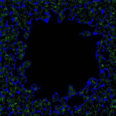 An abstract grunge texture background image.