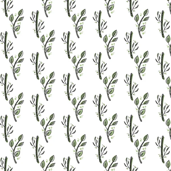 Ручной Рисунок Абстрактный Цифровой Узор Эвкалиптом Бамбуком Белом Фоне — стоковое фото