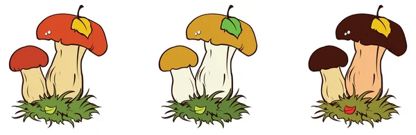 Herfst paddestoelen — Stockvector