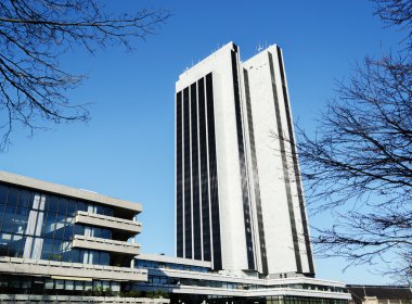 ağaçlar arasında gökdelen.