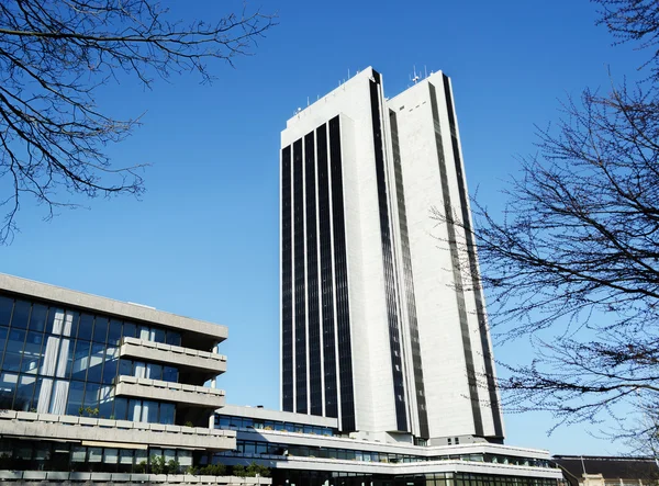 ağaçlar arasında gökdelen.